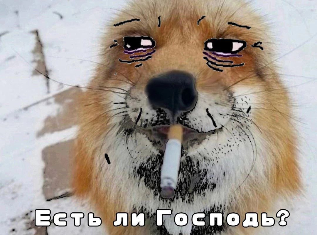 У 7 у у 4 abe 4 we a a 3 +3 $7 4 5 а 3 4 a у 4 7 7 7 4 i, ли 7