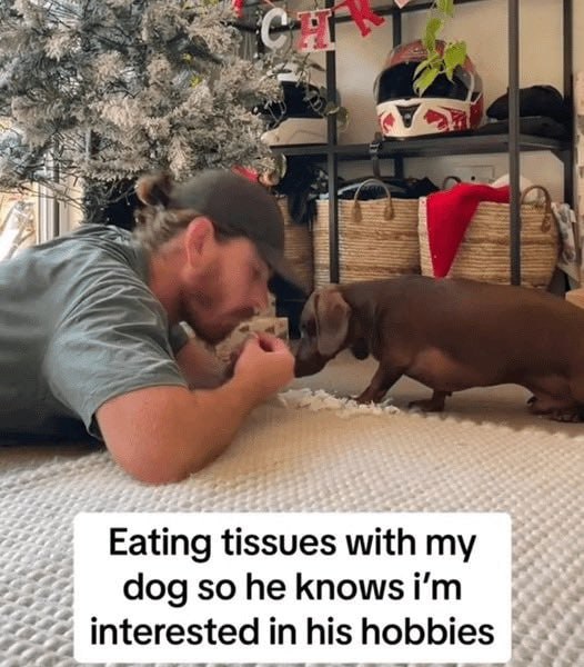 4 Eating tissues with my dog so he knows i in his hobbies