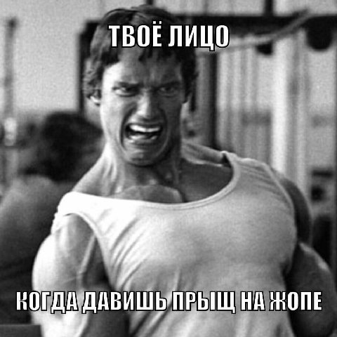 ТВОЕЛИЦО НА