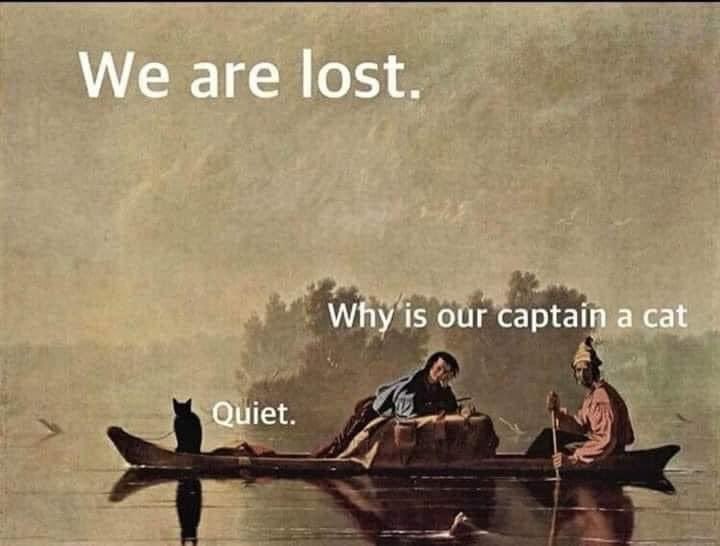 We are lost. Why is our captain a cat Quiet.