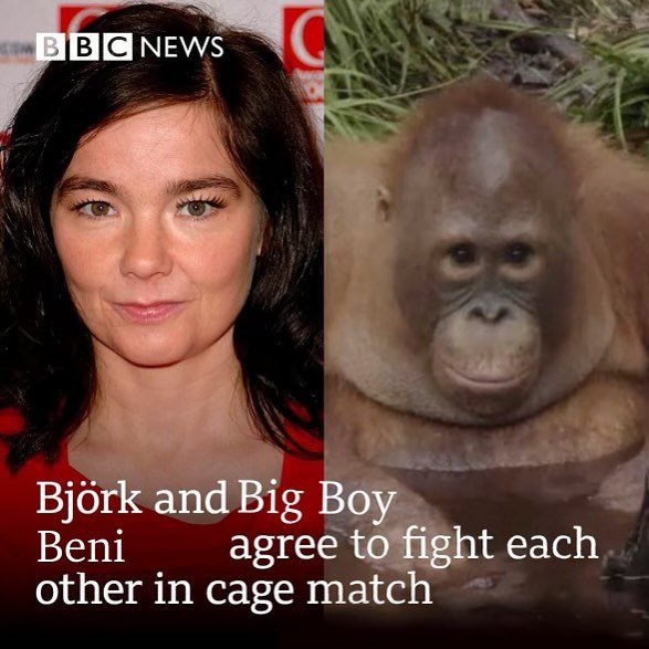 Bjork and Big Boy Beni agree to fight each other in cage match