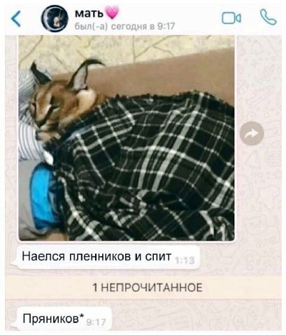 мать 1 “4 Наелся пленников и спит 1 НЕПРОЧИТАННОЕ Пряников*