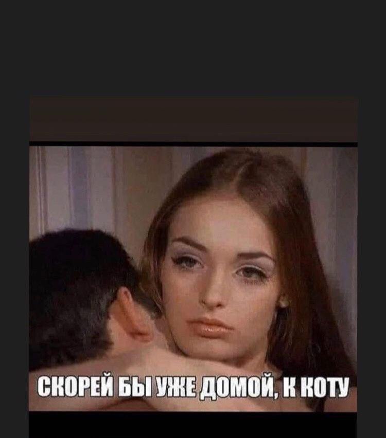СКОРЕЙ БЫ УЖЕ ДОМОЙ, К KOTY