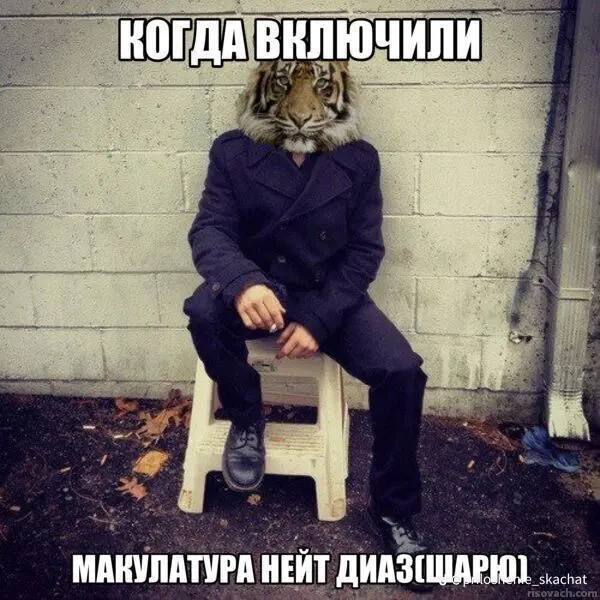 МАКУЛАТУРА HEAT