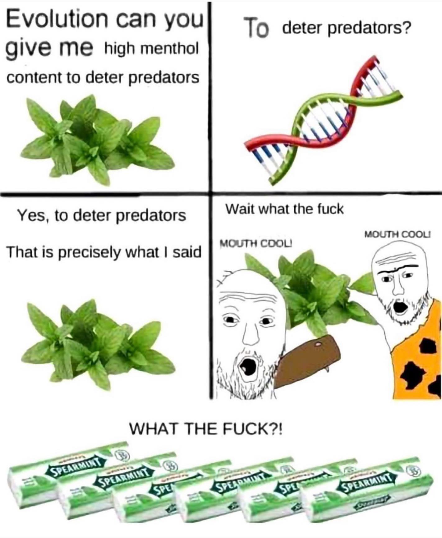 Evolution can you То deter predators? give high menthol content to deter predators on Wait what the fuck Yes, to deter predators MOUTH COOL! MOUTH COOL! That is precisely what said К) 1 WHAT THE FUCK?