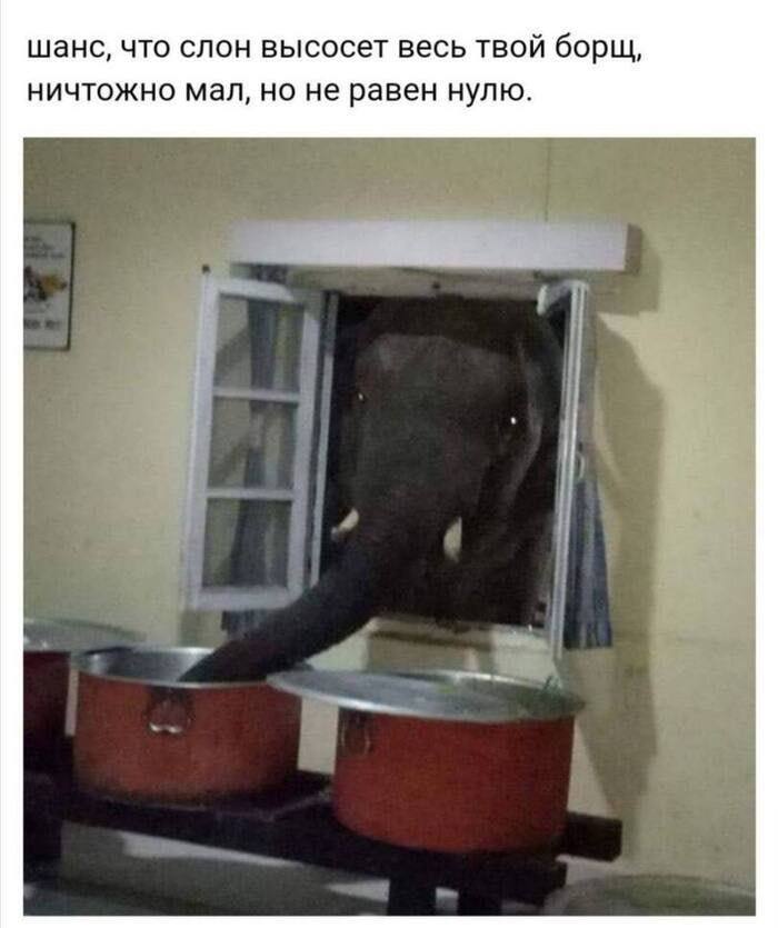 шанс, что слон высосет весь твой борщ, ничтожно мал, но не равен нулю.