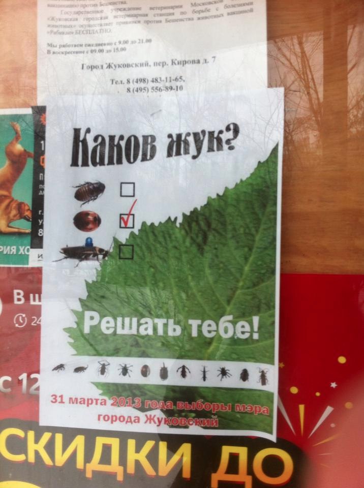 предвыборная листовка в моем родном мухосранске