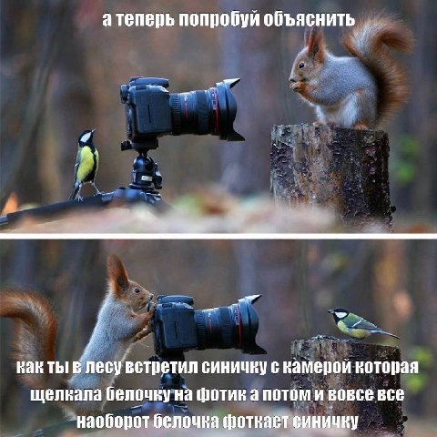 атеперь попробуй объяснить hak ты в лесу встретил синичку с камерой которая щелкала белочку на фотик а потом и вовсе все наоборот белочка фоткает синичку