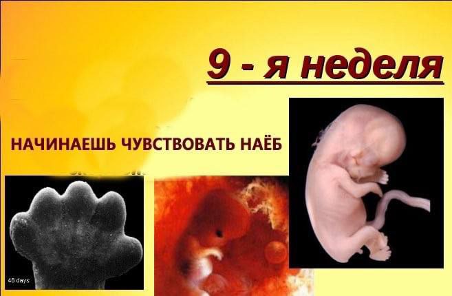 9-я неделя НАЧИНАЕШЬ ЧУВСТВОВАТЬ НАЁБ 2