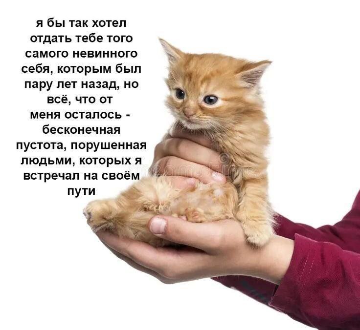 я бы так хотел отдать тебе того самого невинного себя, которым был пару лет назад, но всё, что от меня осталось бесконечная пустота, порушенная людьми, которых я встречал на своём 4 пути 4