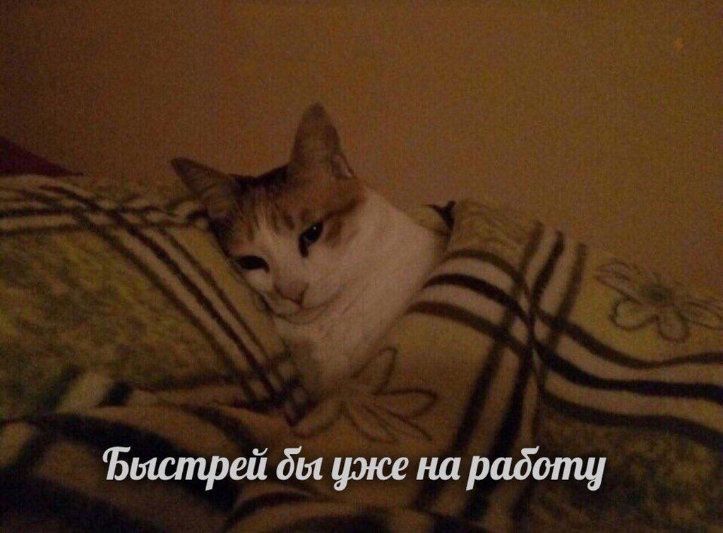 Быстрей уже на радоту