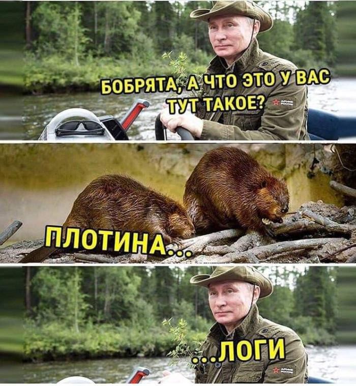 БОБРЯТА, ЭТО УВАС TAKOE? a ПЛОТИ HAs 5% 7