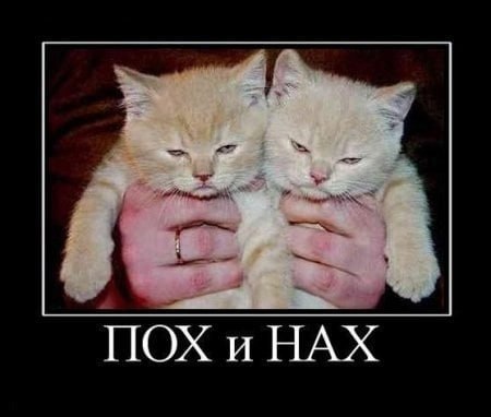 ПОХ и НАХ