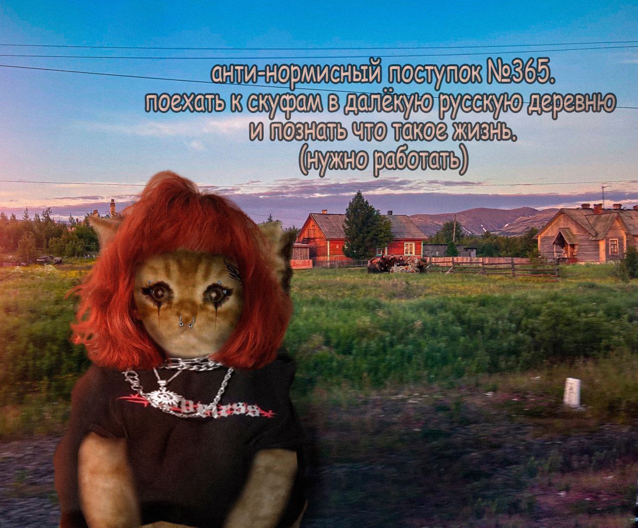 анти-нормисный поступок