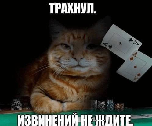 ТРАХНУЛ. ИЗВИНЕНИЙ НЕ