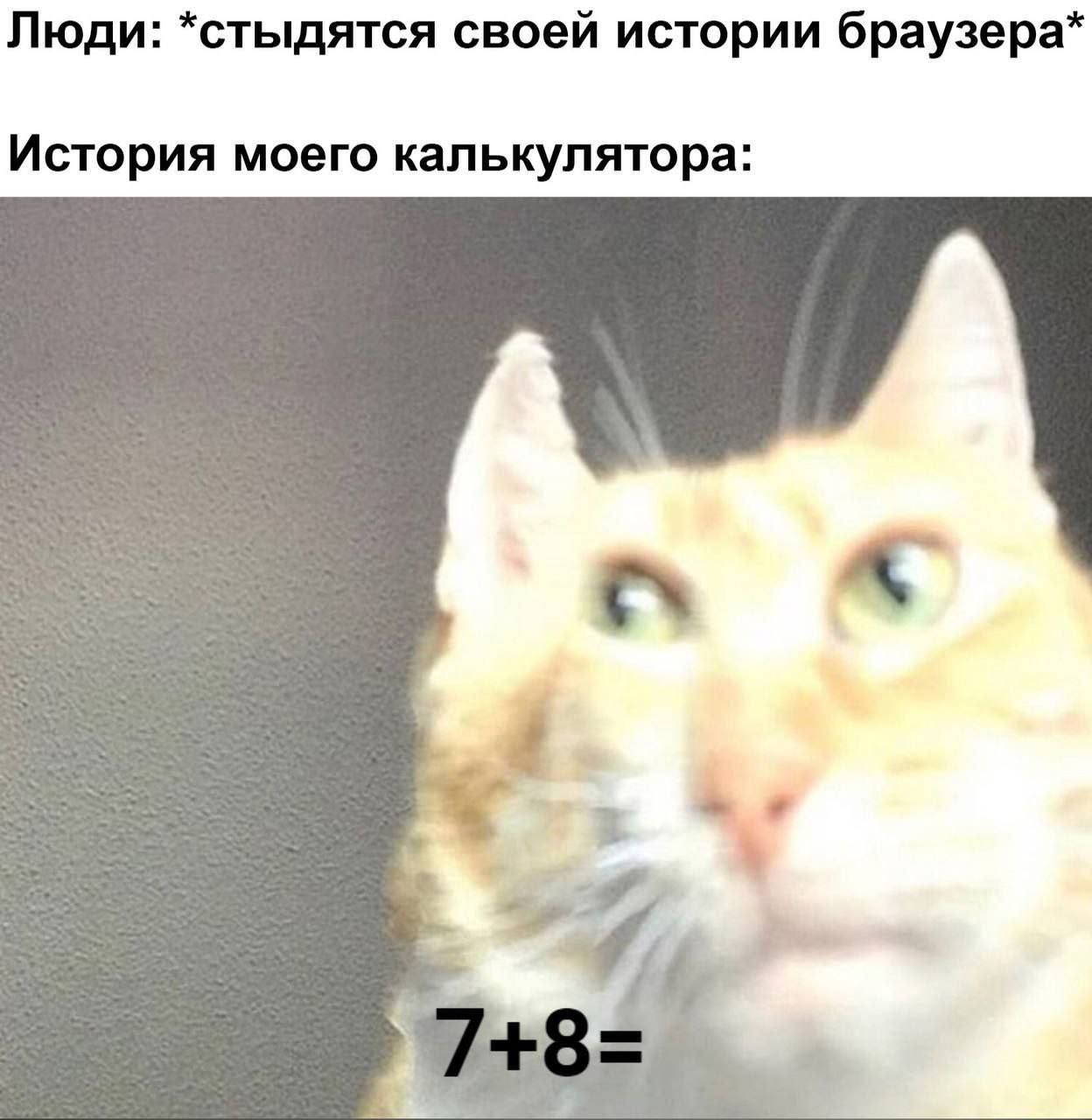 Люди: *стыдятся своей истории браузера* История моего калькулятора:
