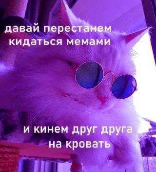 5 давай перестанем кидаться мемами и кинем друг друга на кровать
