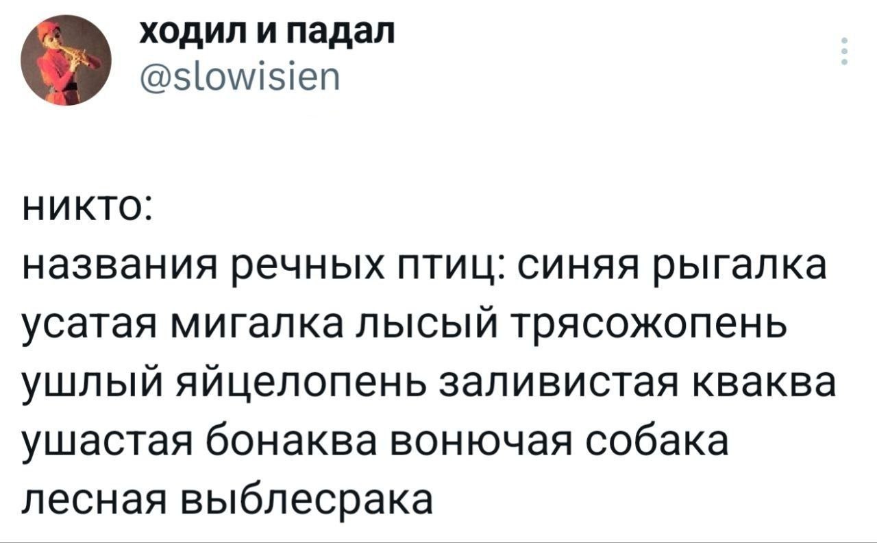 ходил и падал @slowisien НИКТО: названия речных птиц: синяя рыгалка усатая мигалка лысый трясожопень ушлый яйцелопень заливистая кваква ушастая бонаква вонючая собака лесная выблесрака
