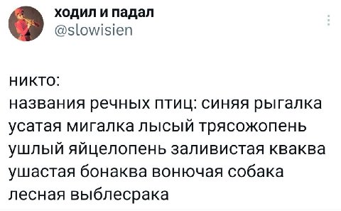 ходил и падал @slowisien НИКТО: названия речных птиц: синяя рыгалка усатая мигалка лысый трясожопень ушлый яйцелопень заливистая кваква ушастая бонаква вонючая собака лесная выблесрака