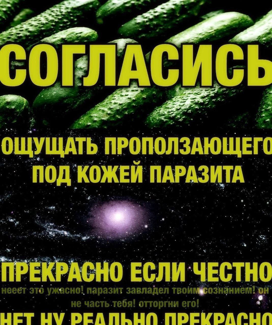 ОЩУЩАТЬ ПРОПОЛЗАЮЩЕГО ПОД КОЖЕЙ ПАРАЗИТА ПРЕКРАСНО ЕСЛИ ЧЕСТНО BER