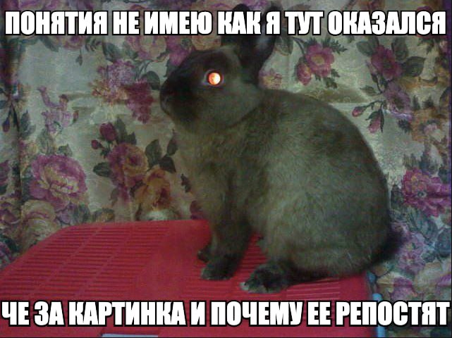 ПОНЯТИЯ HE ИМЕЮ КАК Я ТУТ ОКАЗАЛСЯ ЧЕ ЗА КАРТИНКА И ПОЧЕМУ РЕПОСТЯТ