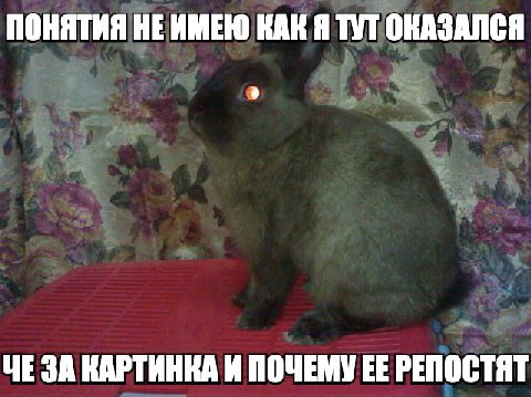ПОНЯТИЯ HE ИМЕЮ КАК Я ТУТ ОКАЗАЛСЯ ЧЕ ЗА КАРТИНКА И ПОЧЕМУ РЕПОСТЯТ