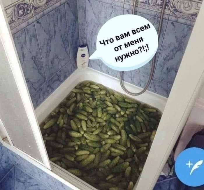 Я 4 у а о you" A