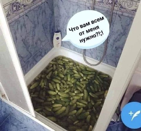 Я 4 у а о you" A