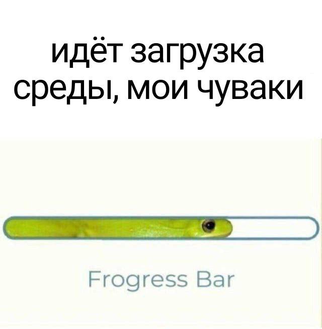 идёт загрузка среды, мои чуваки Frogress Bar