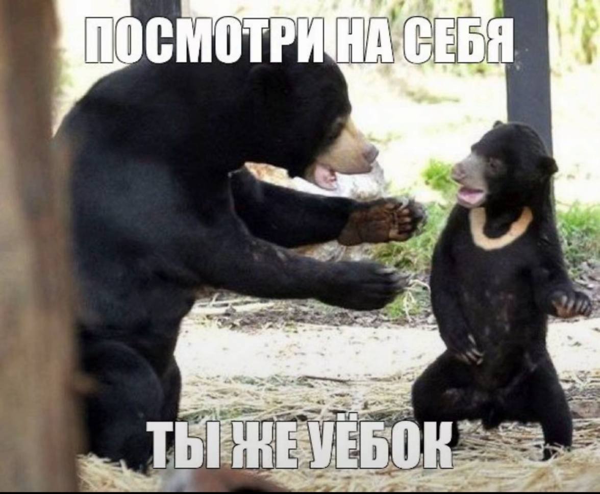 ТЫ БОК
