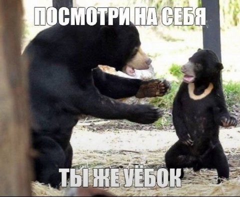 ТЫ БОК