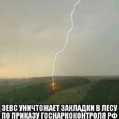 ЗЕВС УНИЧТОЖАЕТ ЗАКЛАДКИ В ЛЕСУ nO ПРИКАЗУ ГОСНАРКОНОНТРОЛЯ