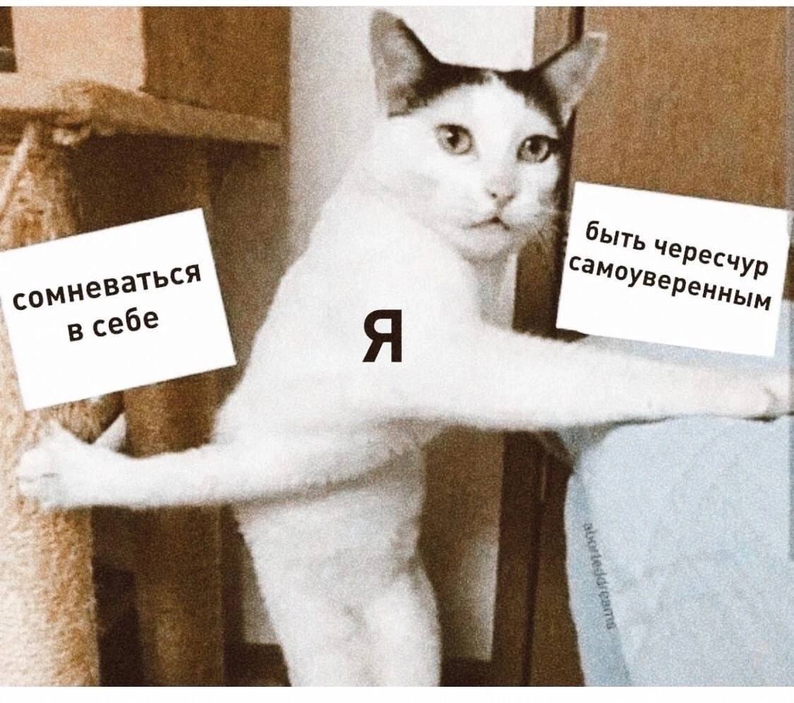 3 4 Чересчу сомневаться в себе Я a 1