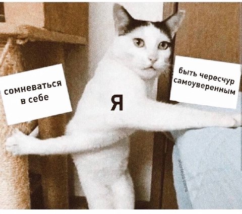 3 4 Чересчу сомневаться в себе Я a 1