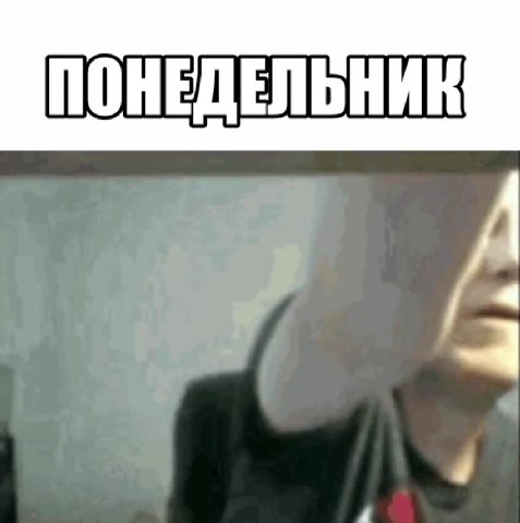 ПОНЕДЕЛЬНИК