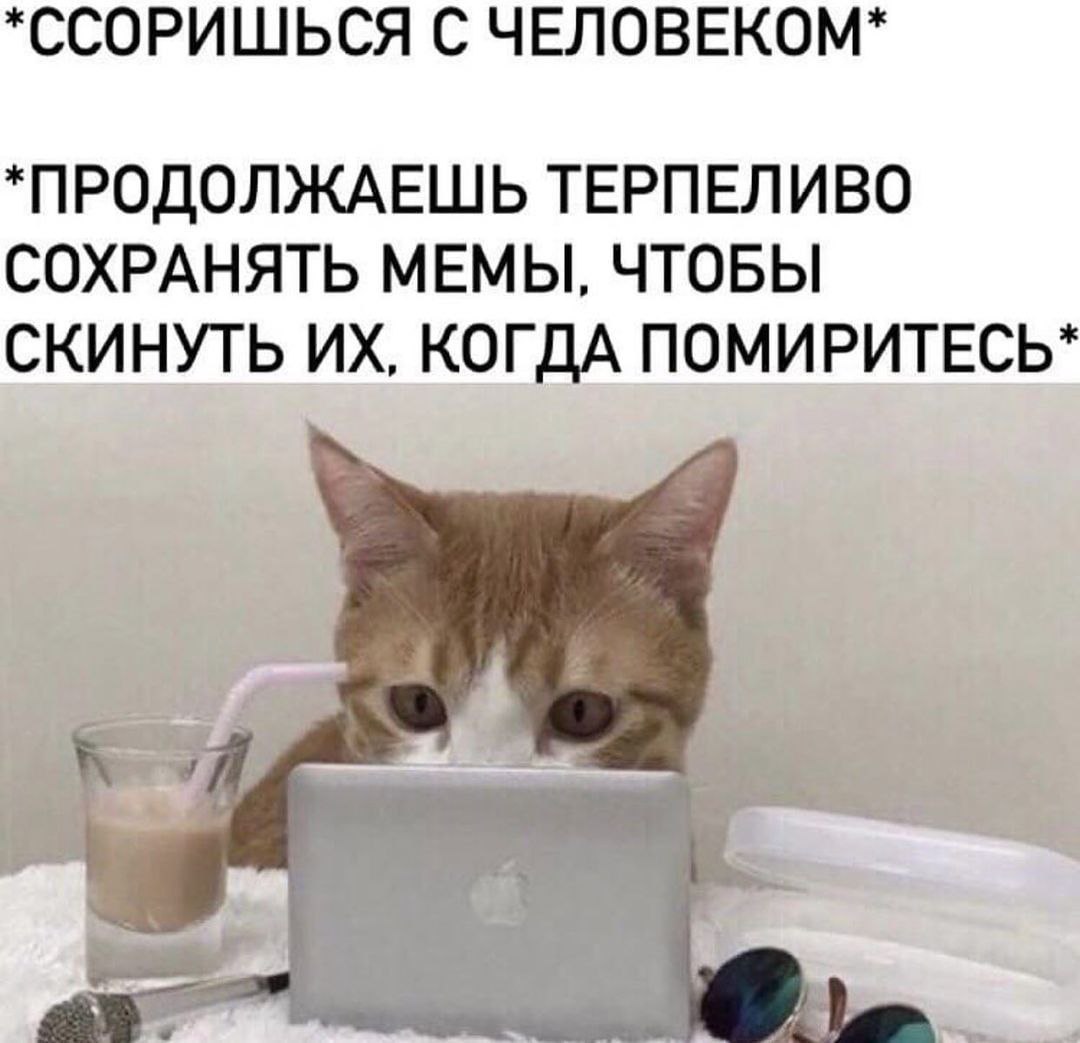 *ССОРИШЬСЯ С ЧЕЛОВЕКОМ* *ПРОДОЛЖАЕШЬ ТЕРПЕЛИВО СОХРАНЯТЬ МЕМЫ, ЧТОБЫ СКИНУТЬ КОГДА ПОМИРИТЕСЬ*