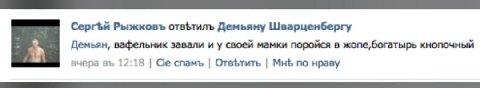 кстати ровно год назад я обнаружила лучший комментарий вконтакте