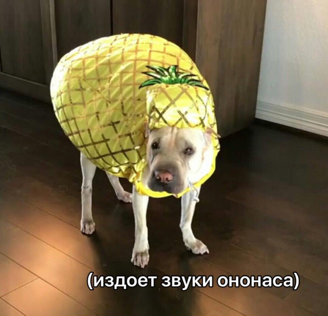 (издоет звуки ононаса)