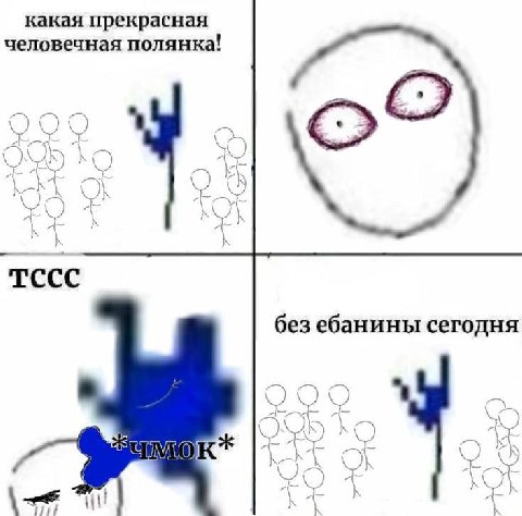 какая прекрасная человечная полянка! A А TCCC без ебанины сегодня