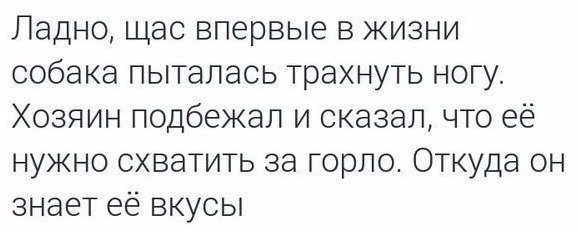 Ладно, щас впервые в жизни собака пыталась трахнуть ногу. Хозяин подбежал и сказал, что её нужно схватить за горло. Откуда он знает её вкусы