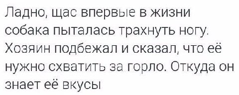 Ладно, щас впервые в жизни собака пыталась трахнуть ногу. Хозяин подбежал и сказал, что её нужно схватить за горло. Откуда он знает её вкусы