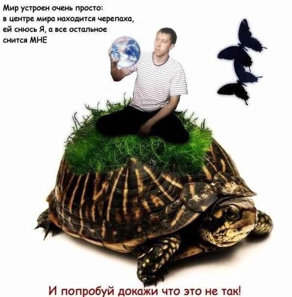 Мир устроен очень просто: в центре мира находится черепаха, снюсь Я, а все остальное снится МНЕ 4 И попробуй докажи что это He так!
