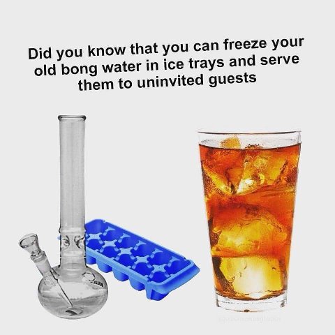 Did you know that you can freeze your old bong water in ice trays and serve them to uninvited guests