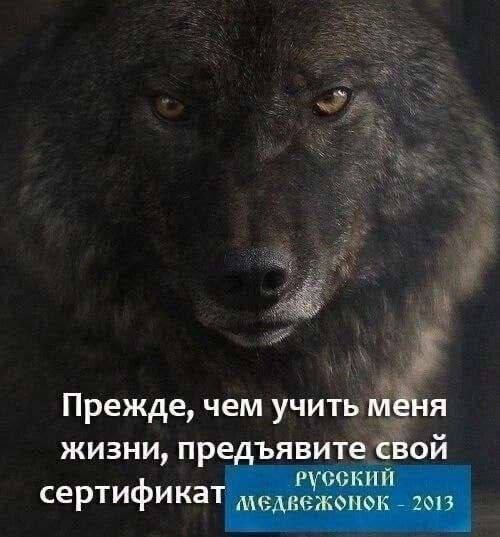 Прежде, чем учить меня жизни, предъявите СВОЙ русский сертификат 2013