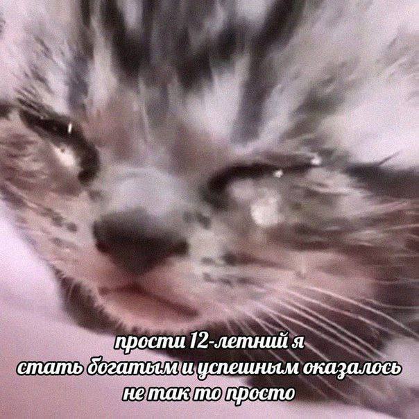 прости 12-летний я стать успешным оказалось то