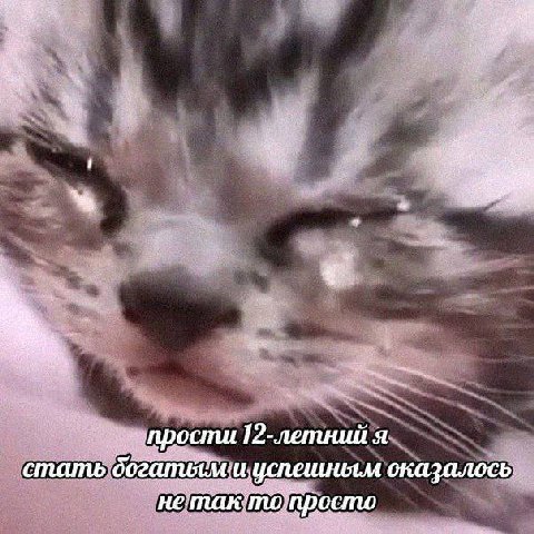 прости 12-летний я стать успешным оказалось то