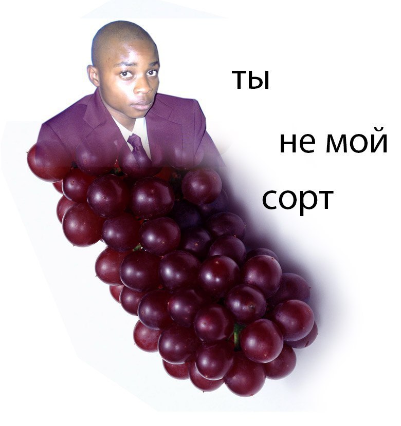 ТЫ не мои сорт