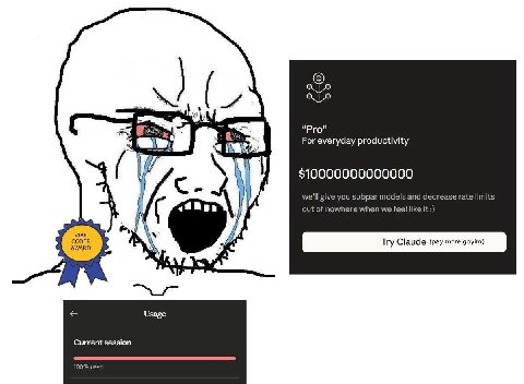 he For everyday productivity $10000000000000 we'll give you subpar models and decrease rate limits out of nowhere when we feel like it МВЕ AWARD CODER Usage Current session 100% used