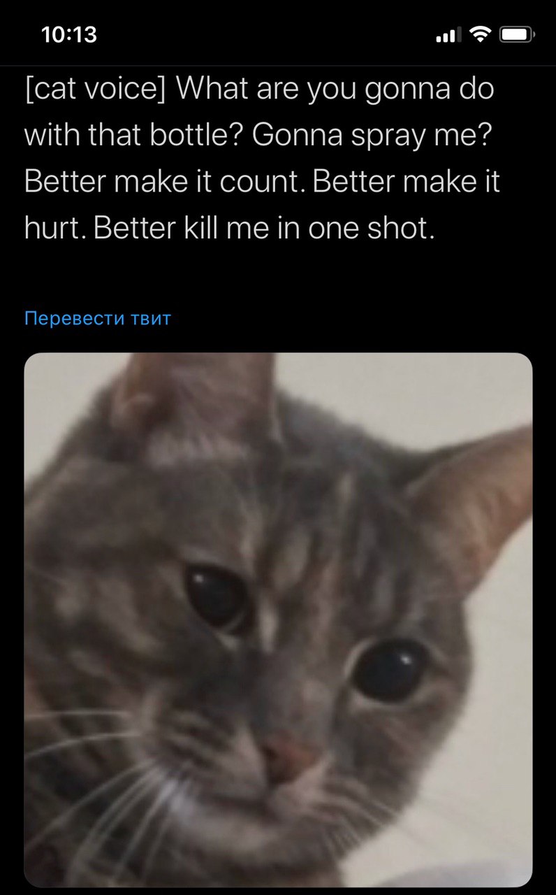 10:13 [cat voice] What are you gonna with that bottle? Gonna spray me? Better make it count. Better make it hurt. Better kill me in one shot. Перевести TBUT