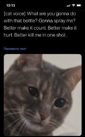 10:13 [cat voice] What are you gonna with that bottle? Gonna spray me? Better make it count. Better make it hurt. Better kill me in one shot. Перевести TBUT